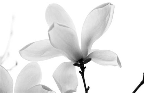 2025年03月11日动土黄道吉日 是动土建房好日子吗