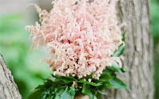 2025年05月17日结婚好不好 宜办婚礼吉日查询