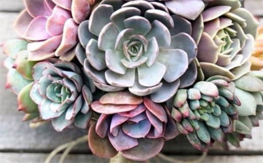 2025年农历六月廿六结婚好不好 是办喜事好日子吗