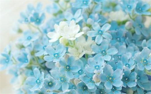 2025年农历闰六月十二领证黄道吉日 是登记领证好日子吗