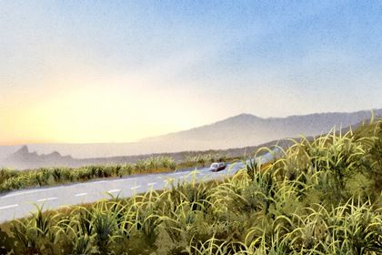 2025年农历八月廿五提车好吗 是买新车好日子吗