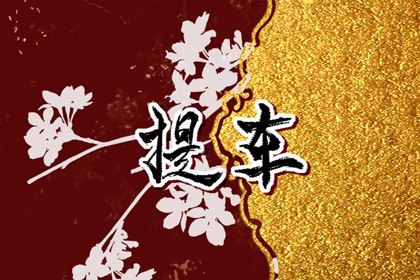 2025年农历四月初六提车好不好 宜买新车吉日查询