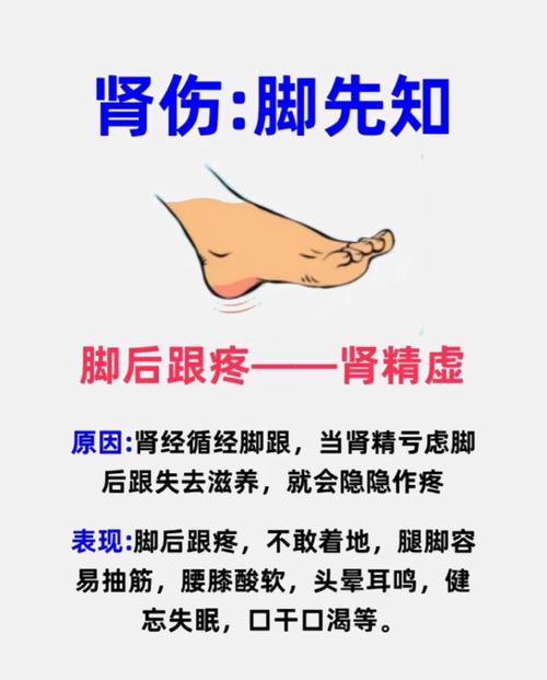 后脚跟不着地为何短命