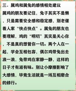 属兔和属鸡的性格配对 生肖鸡和生肖兔配婚如何呢