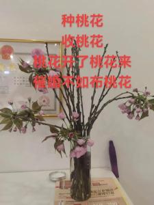 办公室布局桃花风水早脱单