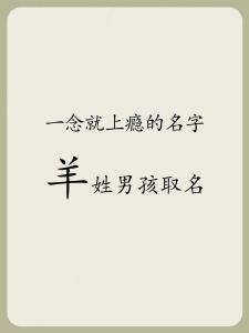 羊宝宝起什么名字好听
