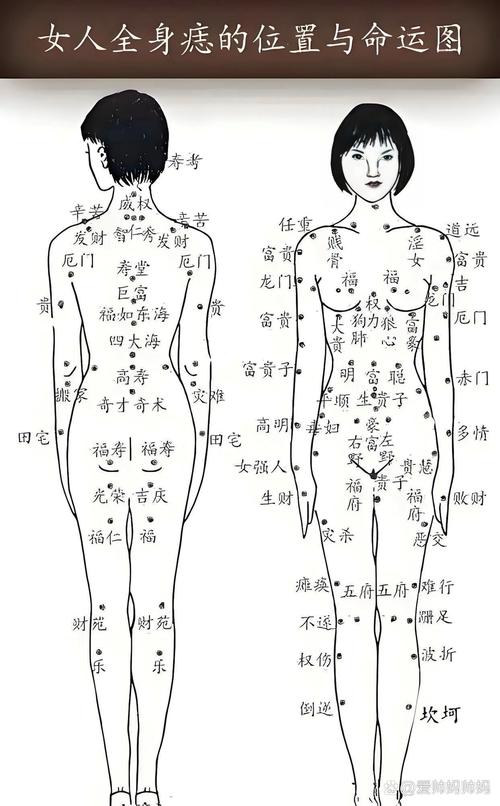 女人全身痣相图解