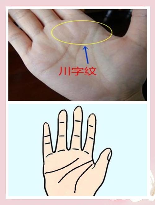 能干大事业的女人手相 川字掌的女人利求财创业