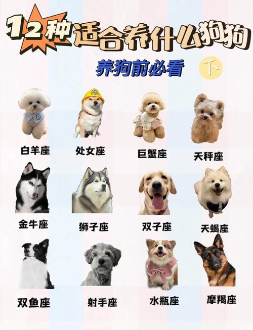 属狗配什么属相好