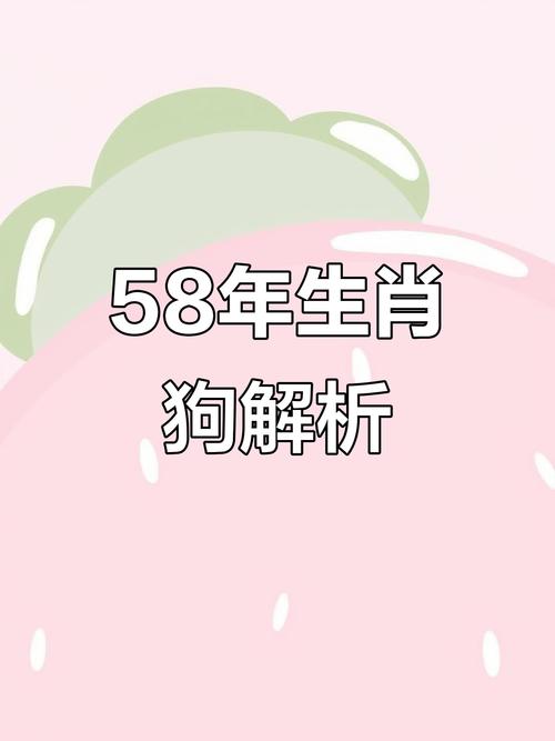 1958年属什么