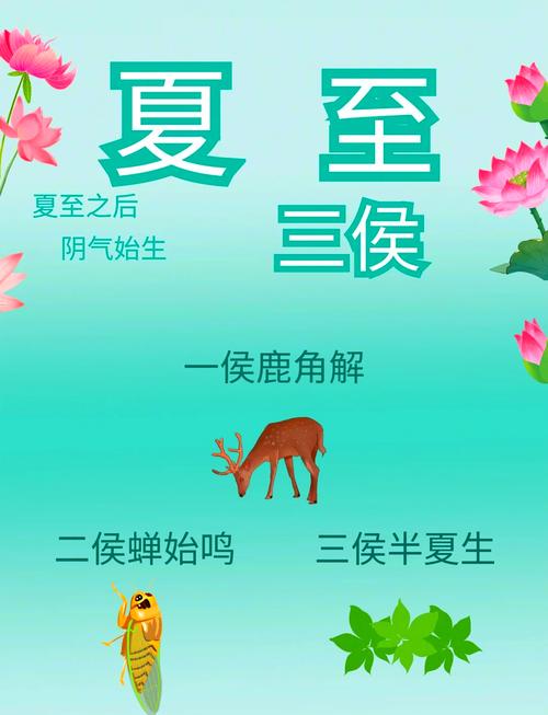 在夏至出生的人 兴旺福禄双至