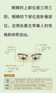 面相分析阴阳眼的人，究竟有什么样的命运？