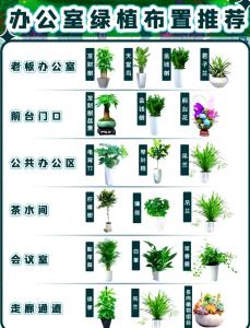 女性办公桌上摆放什么植物有利健康?办公室植物摆放风水禁忌