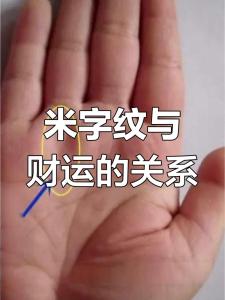 米字纹豪宅富贵命,掌纹上的米字纹代表什么?