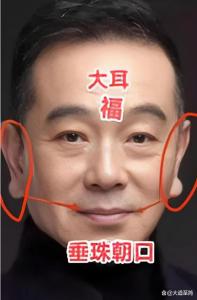 什么样的耳朵面相最好？大而厚耳相最好