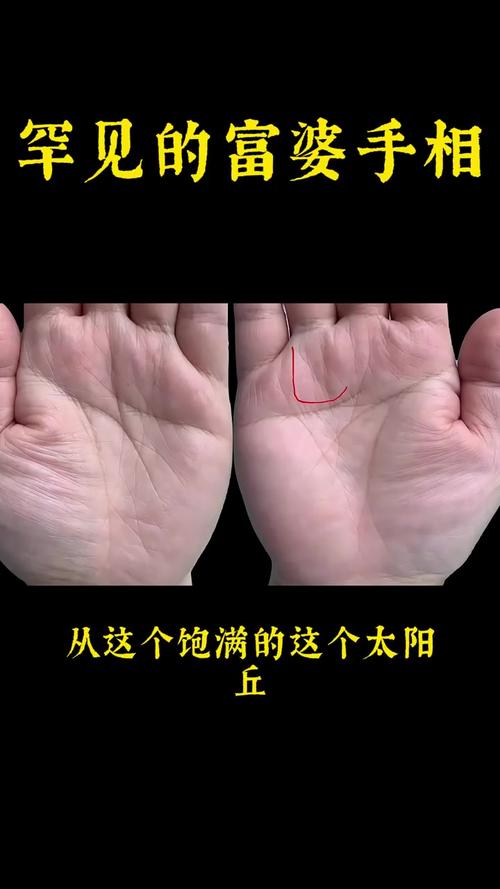 富人的手相 手掌多肉且偏圆