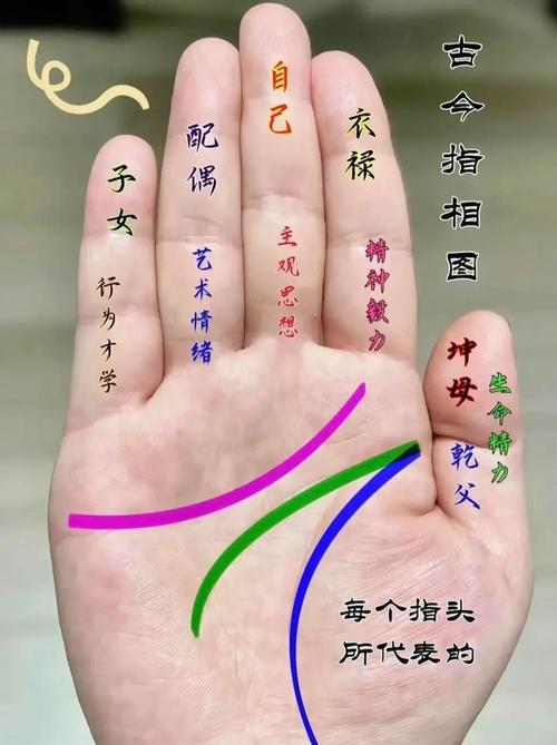 易被甩的五种手相