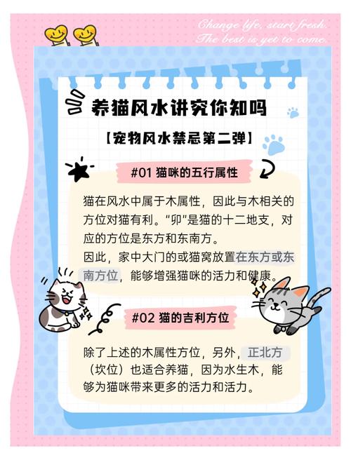 适合养猫的方位在哪里 属龙的不能养猫吗