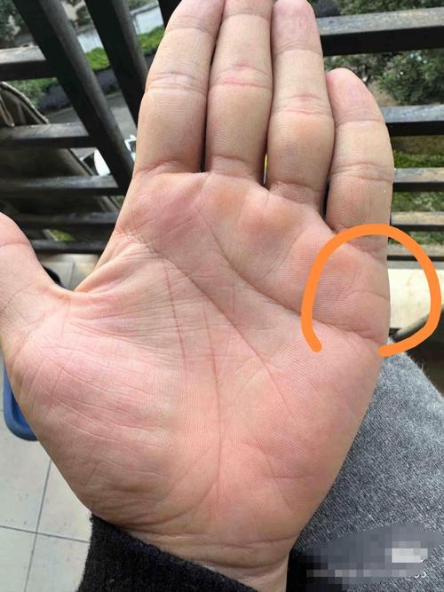 容易出轨的手相男