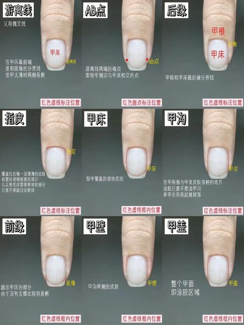 指甲看你的运势走向