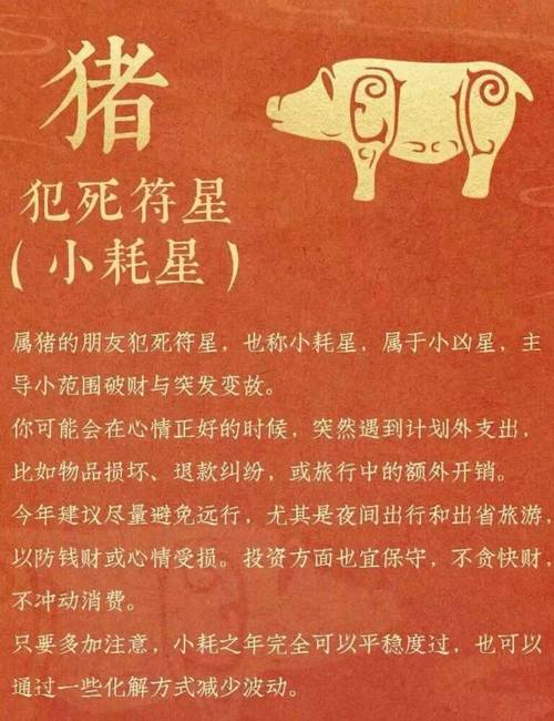 属猪人龙年的运势怎么样 属猪人的性格和优缺点