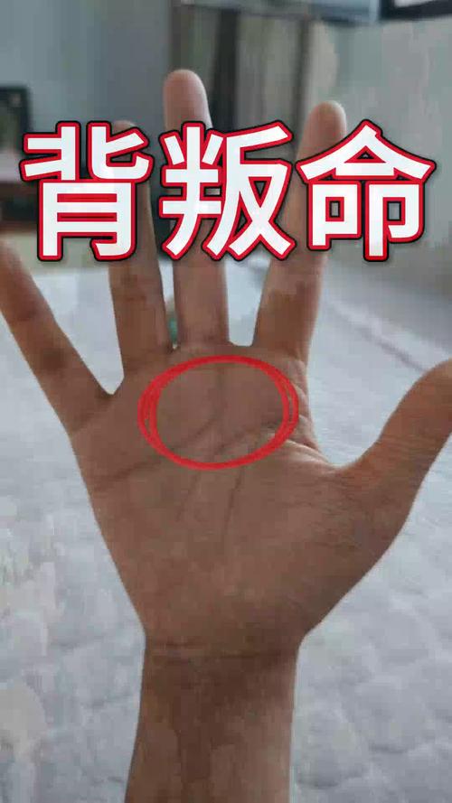 容易感情出轨的手相掌纹