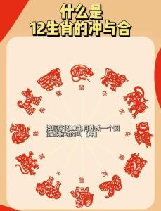 今日属相冲什么 2024年7月6日冲什么属相