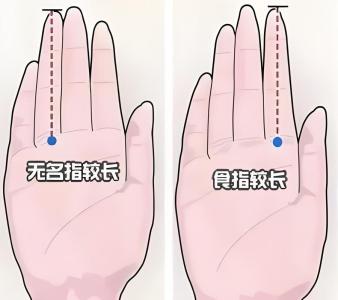 无名指比中指长的人命运好吗