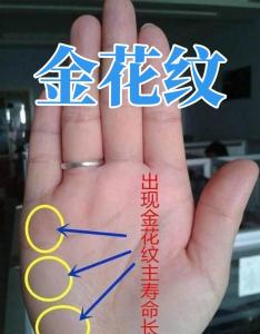 金型手是什么 金型手相好不好