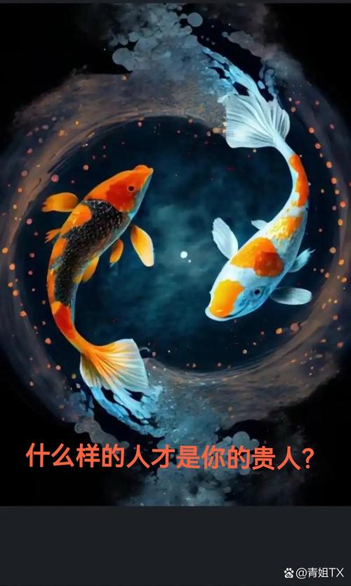 “贵人”相助.事业如鱼得水