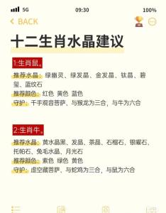 12生肖增旺财运妙法