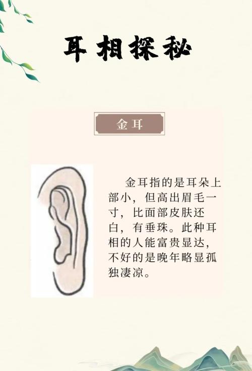 如何从耳朵看命运，快来看看你属于什么性格命运？