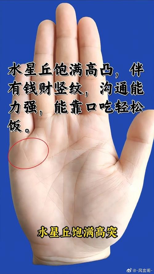 女生桃花运好的手相有什么特点 水星丘饱满