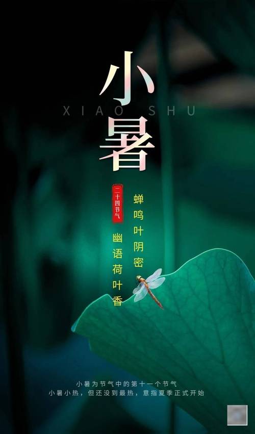 7月7日小暑出生的人好不好   善于思考