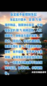 卧室不能放鱼缸