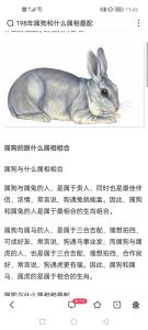 爸爸生肖属狗宝宝属兔好不好  家庭组合比较和谐