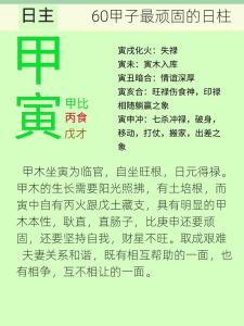 甲寅日柱的人命好吗 甲寅日柱女命解析