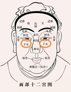 女人什么命宫最好 女人最好命宫解析