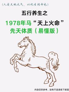 1978天上火命缺什么 78年属马天上火命解析