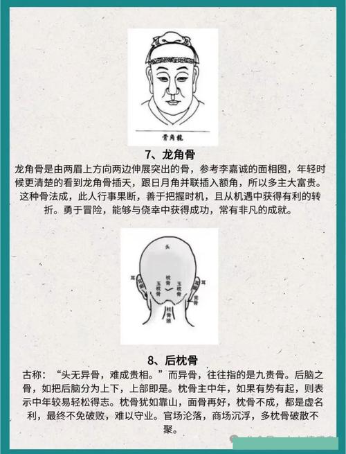 女人龙角骨面相图解，龙角骨有什么说法