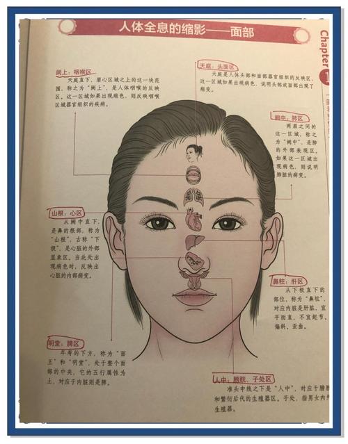 面相教你如何以口齿识人