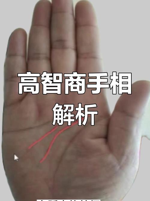 手相有两条智慧线的人好不好？