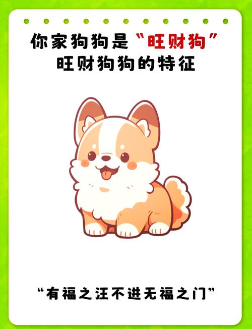 生肖狗在2024有什么值得高兴的事 2024属狗有什么喜事