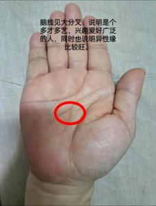 做大事男人的手相