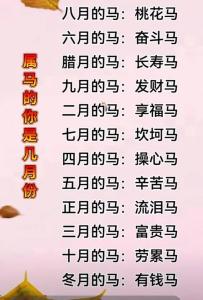 2024属马有什么喜事 生肖马在2024有什么值得高兴的事