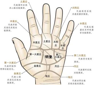 手相图解：健康线看你自身健康状况