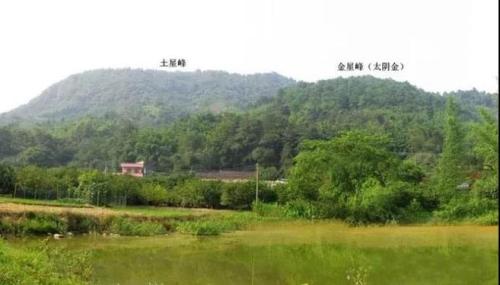 择居绿色阳宅，促婚恋风水生旺