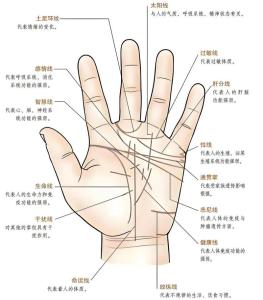 手相看你一生的健康