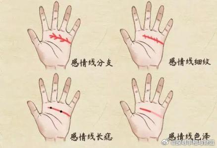 感情线看你对待情感的态度