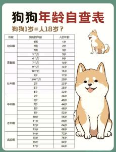 属狗的人2024年多少岁 属狗的几月出生的命最好